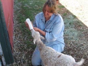 Bitsy and her bottle