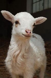 3db3b-6248_128622155738_2491228_n